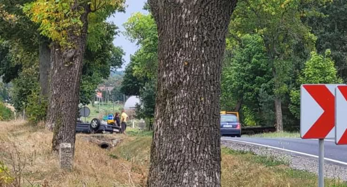 Kodrąb. Sarna wybiegła na drogę. 30-latka straciła panowanie nad autem. Skoda wjechała do rowu i dachowała