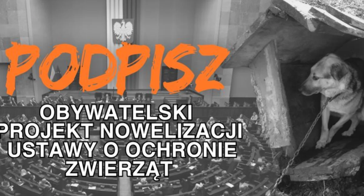 Pani Aleksandra: - A gdzie w Radomsku można podpisać się pod projektem STOP łańcuchom? To ważna sprawa, ale jakoś nikt podpisów nie zbiera