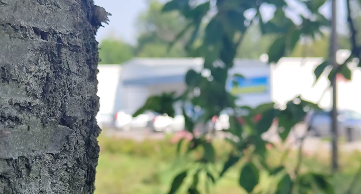 Jak się budowało Radomsko: Samowola w centrum. „Będę tę ranę rozdrapywał, bo warto poznać mechanizmy