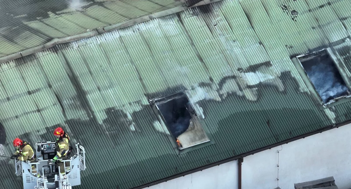 [WIDEO] Spłonęła hala o powierzchni około 1000 metrów kwadratowych. Pożar zakładu stolarskiego gasiło dziesięć zastępów straży