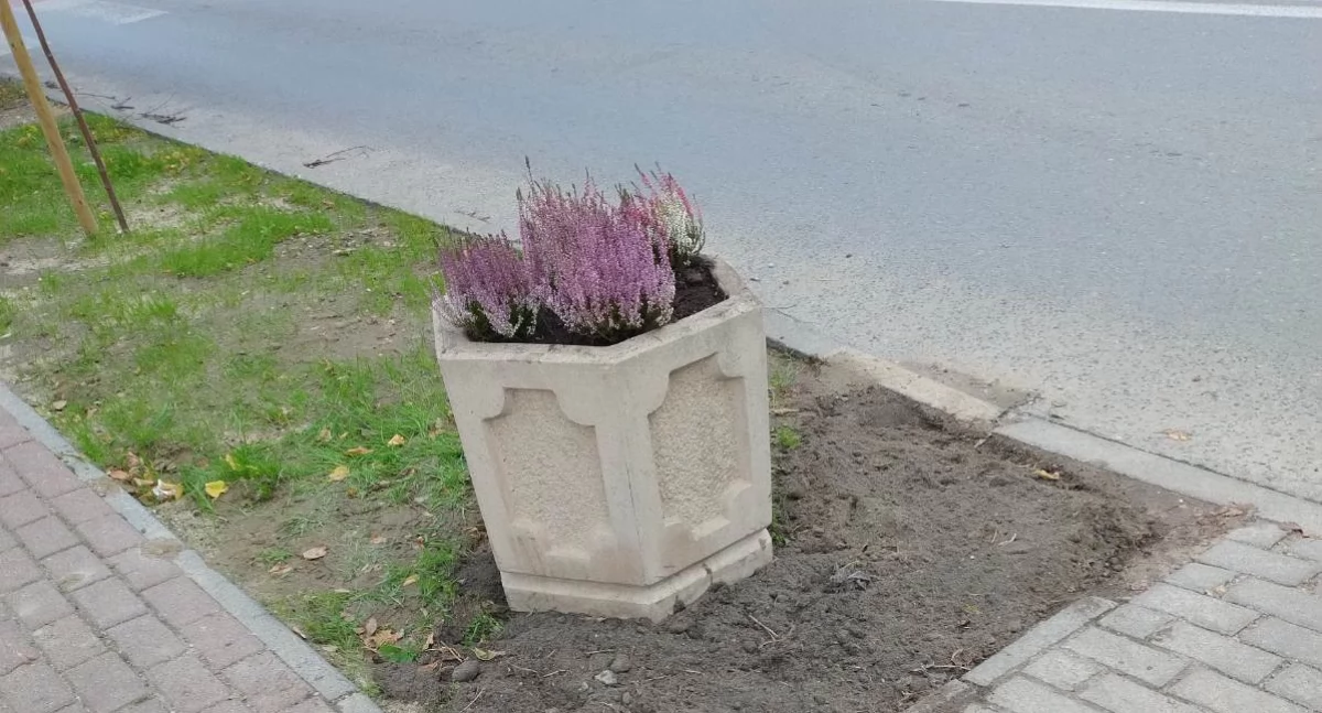 Czytelniczka: Takich kierowców nic nie powstrzymuje. Mam nadzieję, że ta donica jednak będzie skuteczna