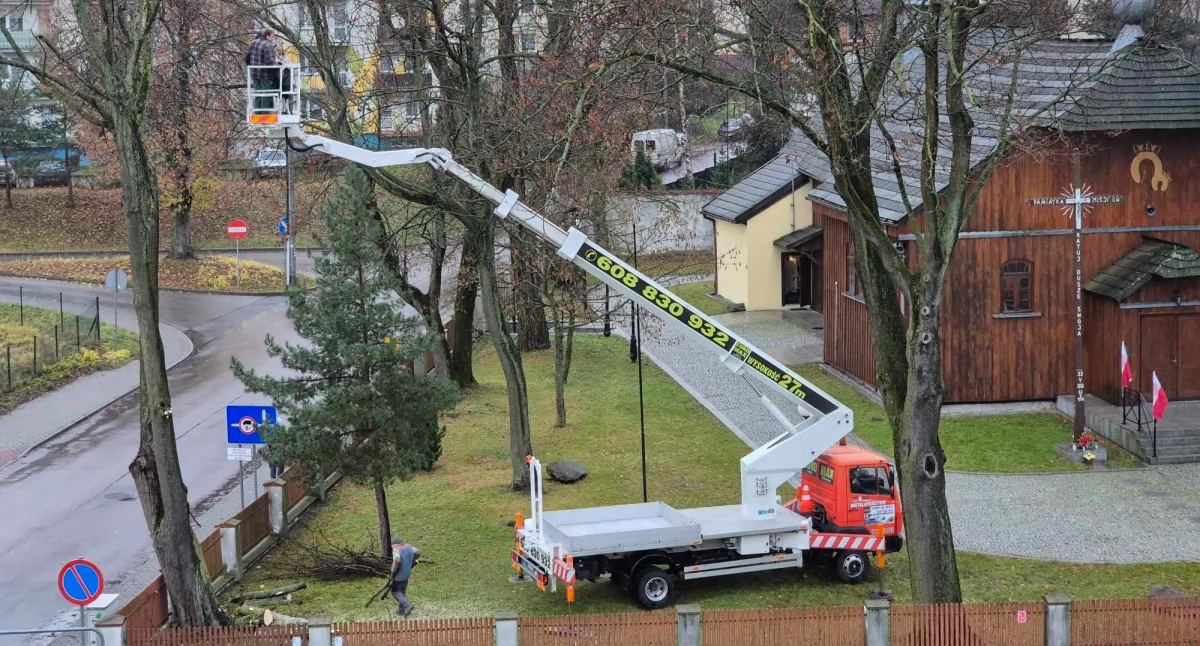 Wycinka drzew na terenie parafii św. Marii Magdaleny