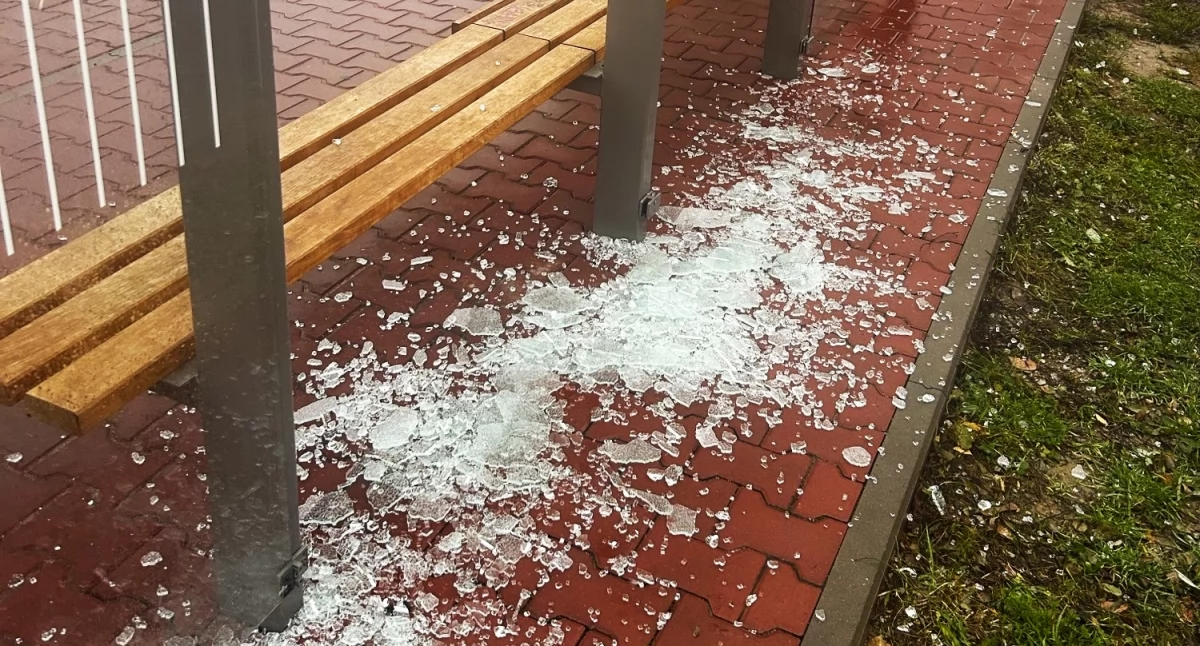 Urząd Miasta do mieszkańców: - Wiecie, że te wiaty kosztują po kilkadziesiąt tysięcy? A wandali, niestety, nie brakuje