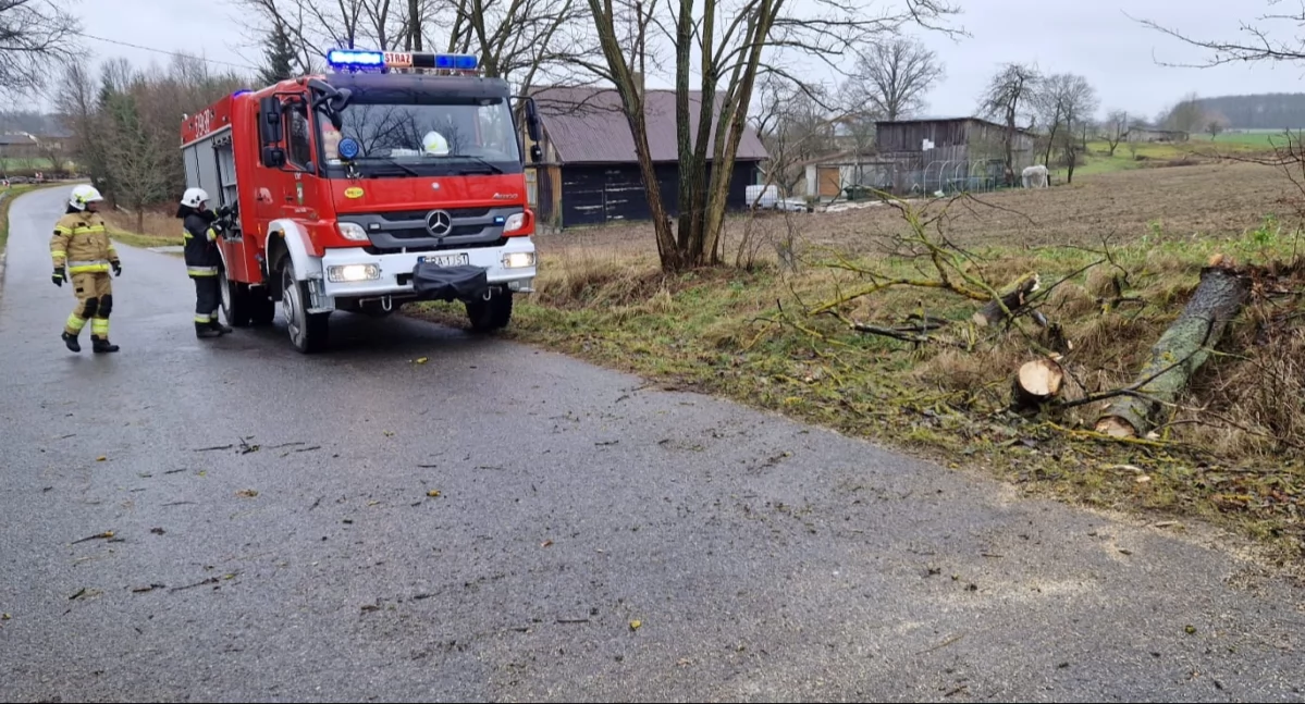 Uwaga! Wieje! Policjanci ostrzegają, a strażacy już uprzątają powalone na drogi drzewa