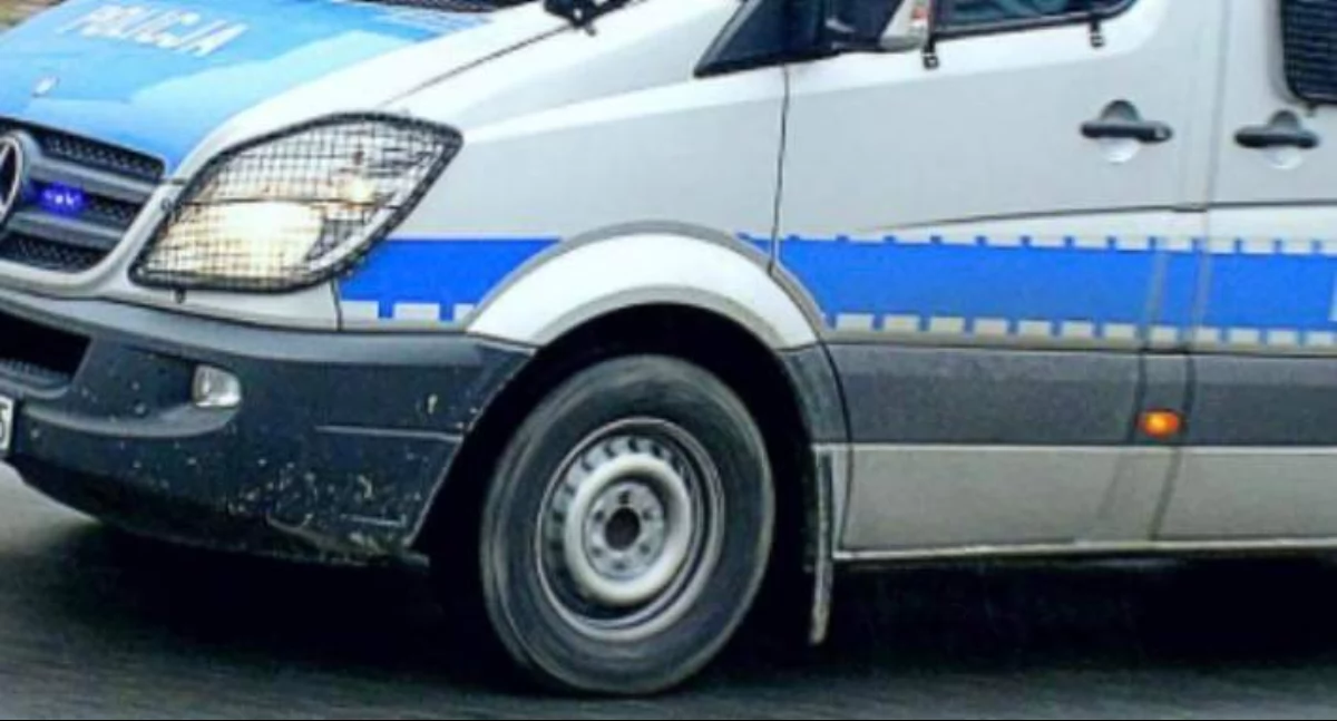 Renault wypadło z drogi. Kierowca i pasażerowie uciekli. Policjanci zatrzymali kompletnie pijaną 23-latkę