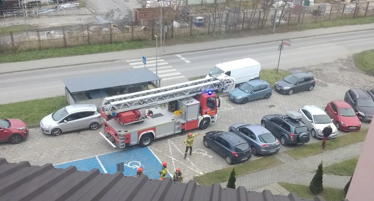 Kot wszedł do przewodu wentylacyjnego. Strażacy starają się go zlokalizować i wydostać 