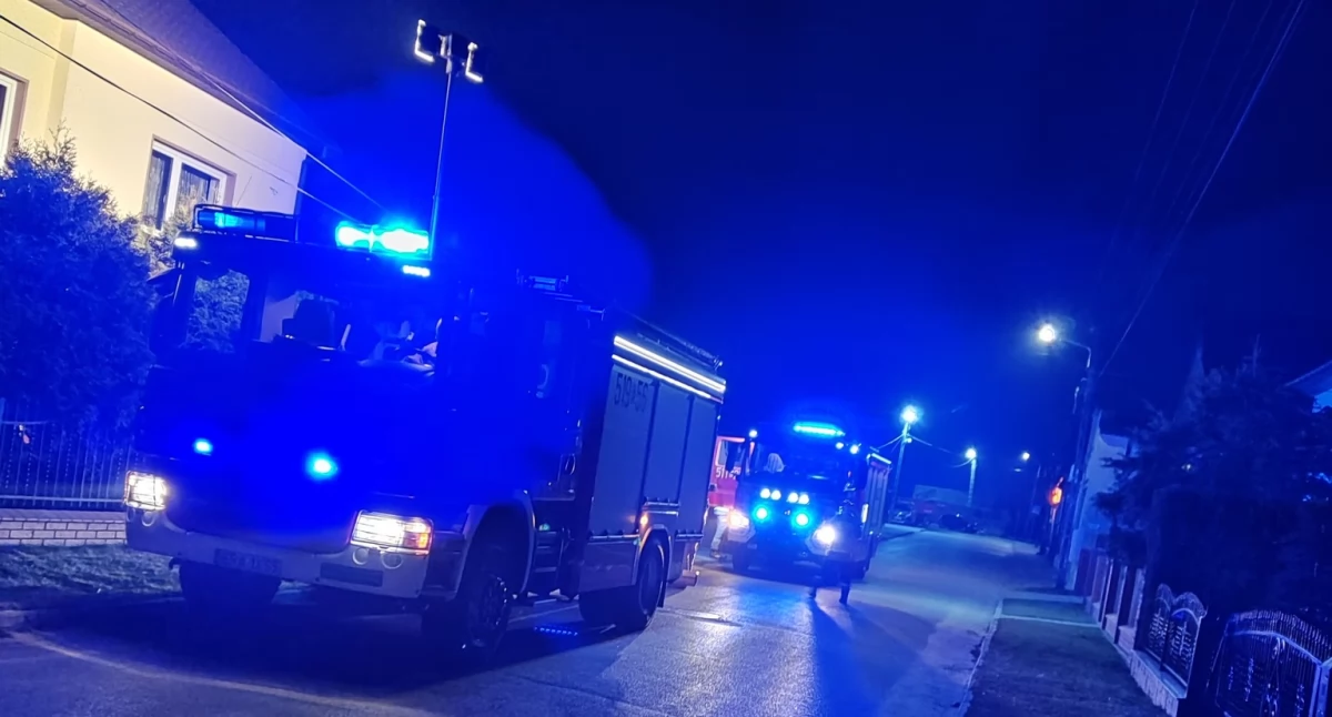 Strażacy wezwani do pożaru w Lgocie Wielkiej. Znów chodziło o sadze w kominie