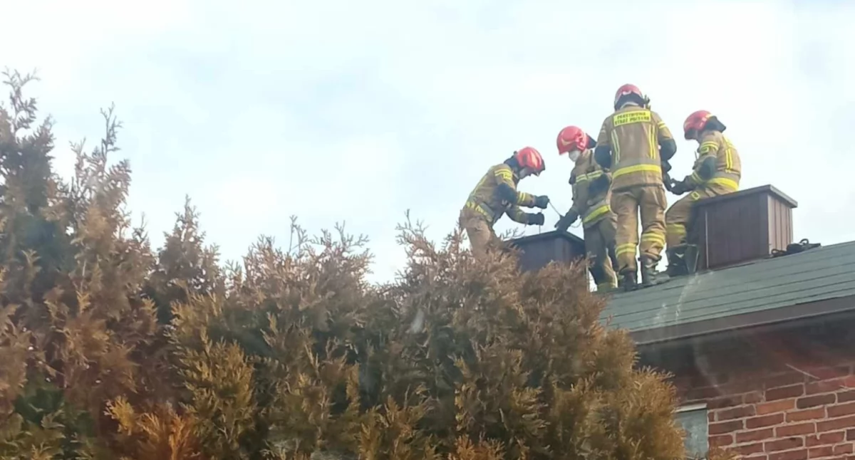 Pożar sadzy w jednym z domów w Ładzicach. Na miejsce wysłano trzy jednostki straży