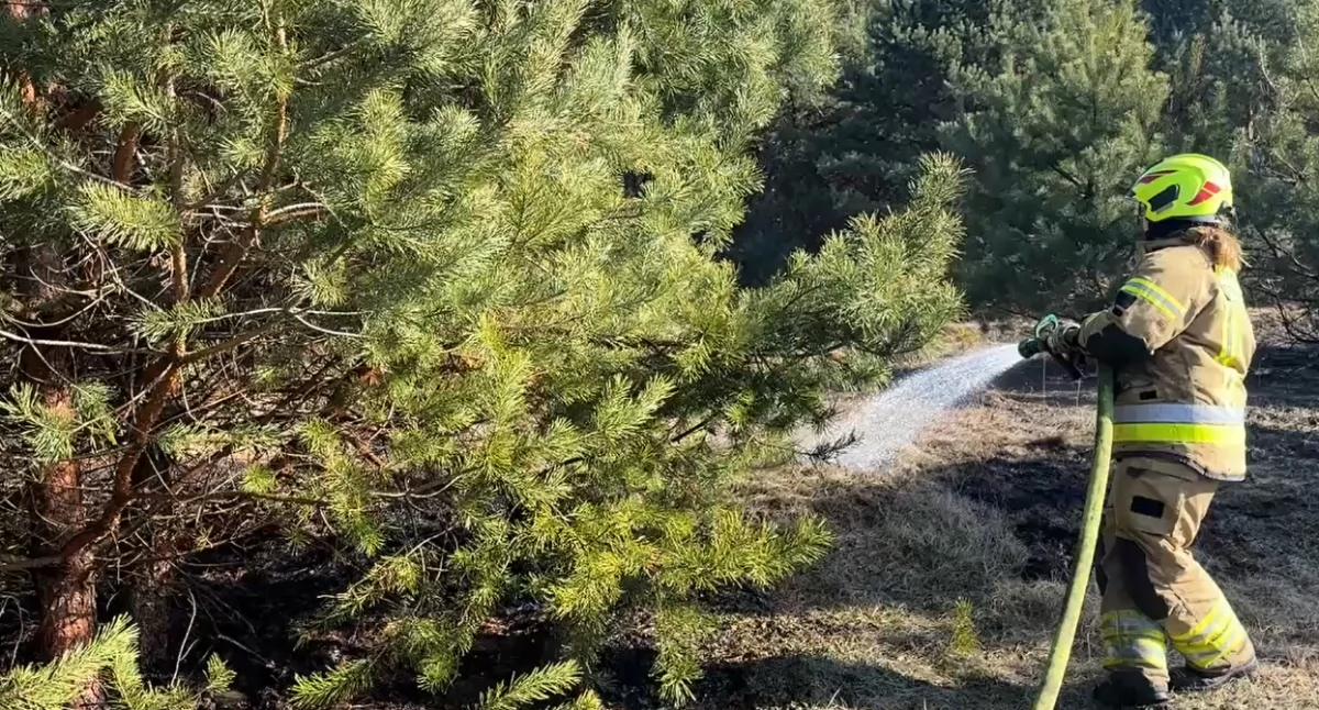 [WIDEO] Wypalał na swoim podwórku. Spowodował pożar, który przez trzy godziny gasiło siedem zastępów straży