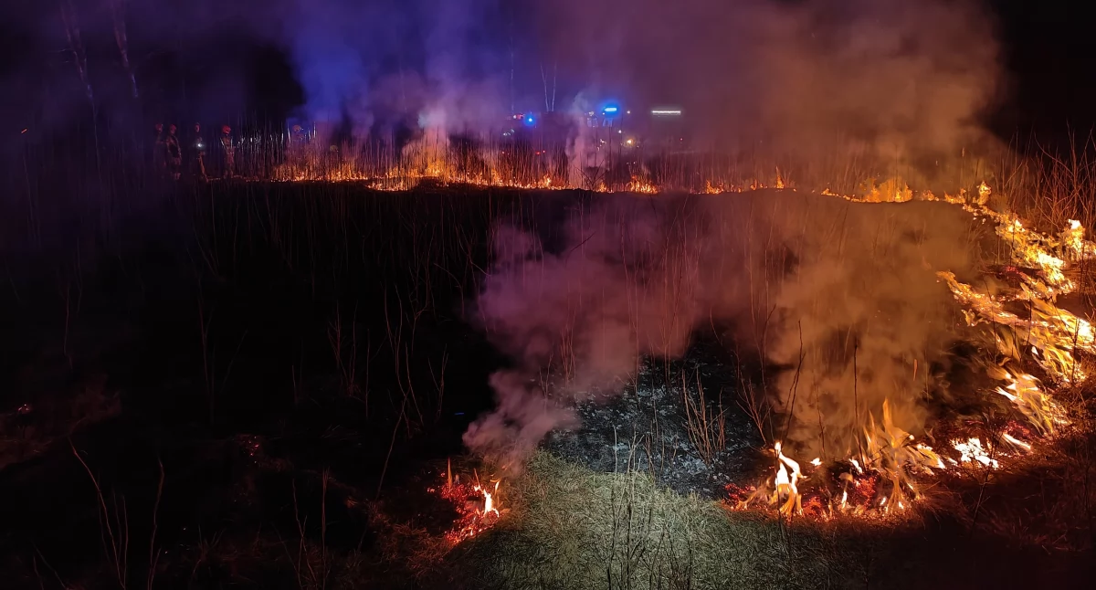 [FILM] Cztery pożary traw w ciągu kilku godzin. Ściemniło się i zaczęło się podpalanie