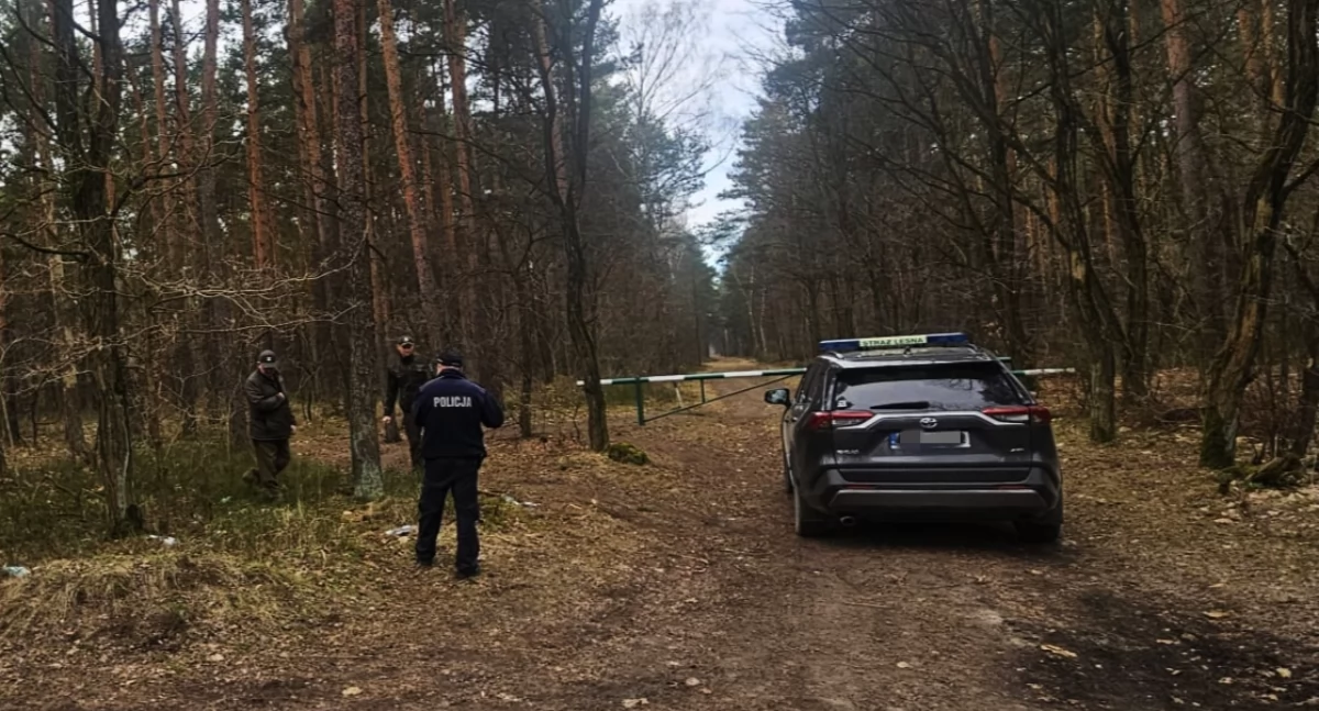 Aspirant Kaczmarek: - Policjanci i funkcjonariusze Straży Leśnej patrolują lasy