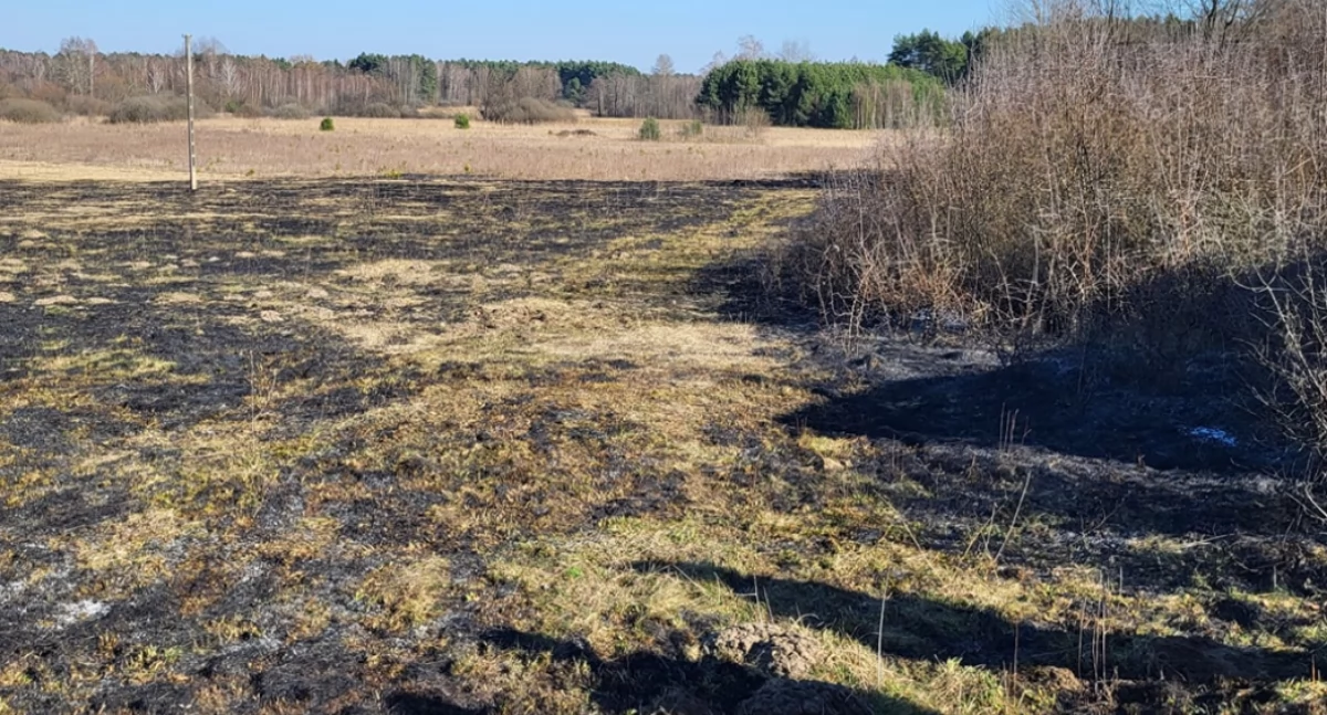 Cztery pożary traw jednego dnia. Strażacy czekają, aż urośnie świeża traw i takie wyjazdy się skończą