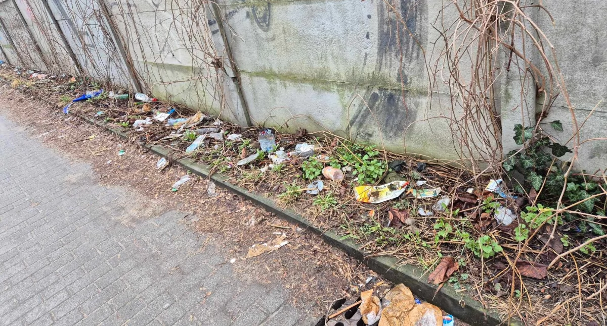 GDDKiA: Ruszamy z pracami porządkowymi po zimie. Tymczasem śmieci piętrzą się od jesieni, skarżą się mieszkańcy 