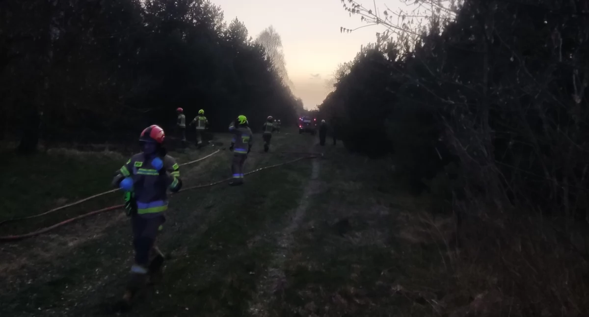 Pożar w Woli Blakowej. Na miejscu sześć jednostek straży pożarnej