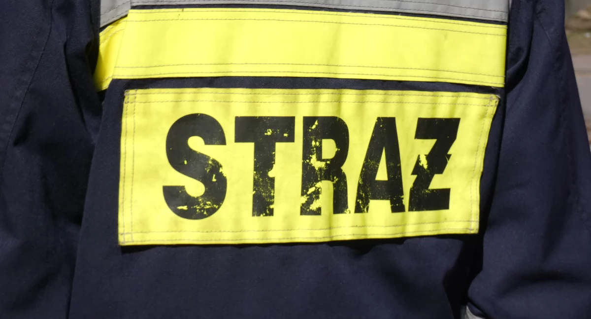 Pożar na poddaszu domu przy ulicy Witosa. Ogień powstał od iskry, od której zapaliło się… ptasie gniazdo