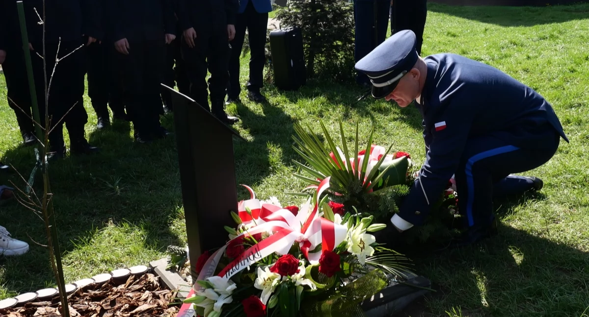 Dąb Pamięci dla aspiranta Feliksa Gaika posadzono na terenie ZSP nr 1. Na uroczystości był jego syn, Ryszard