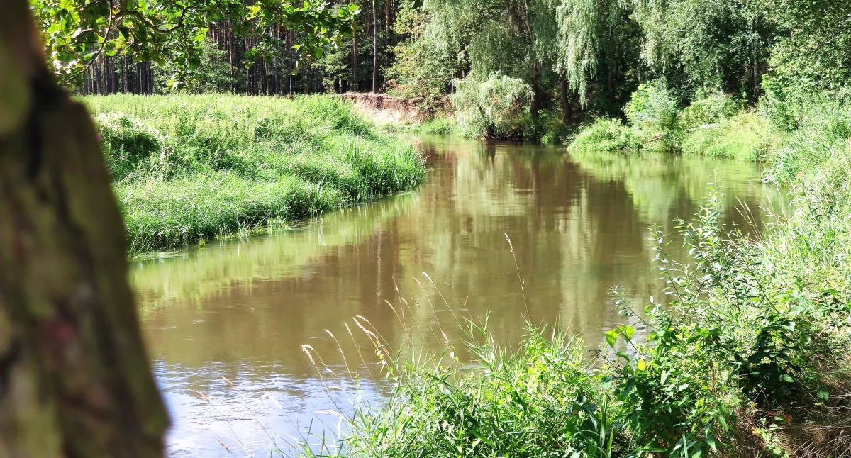  Czysta Rzeka. Dla Warty warto! To hasło kolejnej edycji akcji. Wolontariusze ruszą do niej w maju