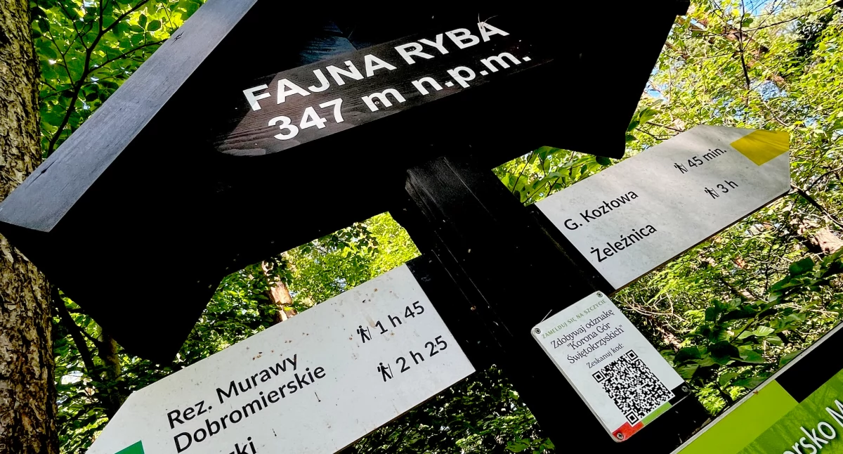 Urząd miasta w Przedborzu zaprasza na majówkę pod namiotem. Nad zalewem w tym mieście powstało pole namiotowo-campingowe