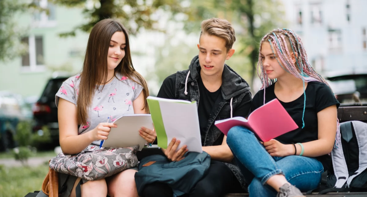 Studia idealne dla kreatywnych - postaw na marketing i budowanie wizerunku
