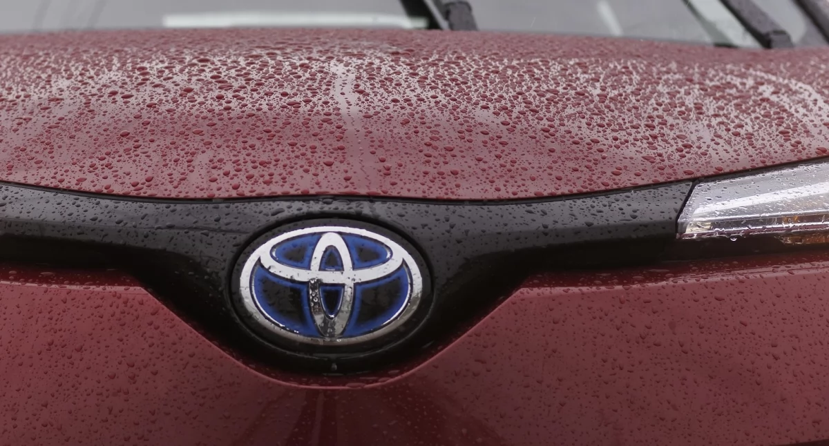 Wypadek w gminie Masłowice. Toyota uderzyła w drzewo. Kierowca został zabrany do szpitala