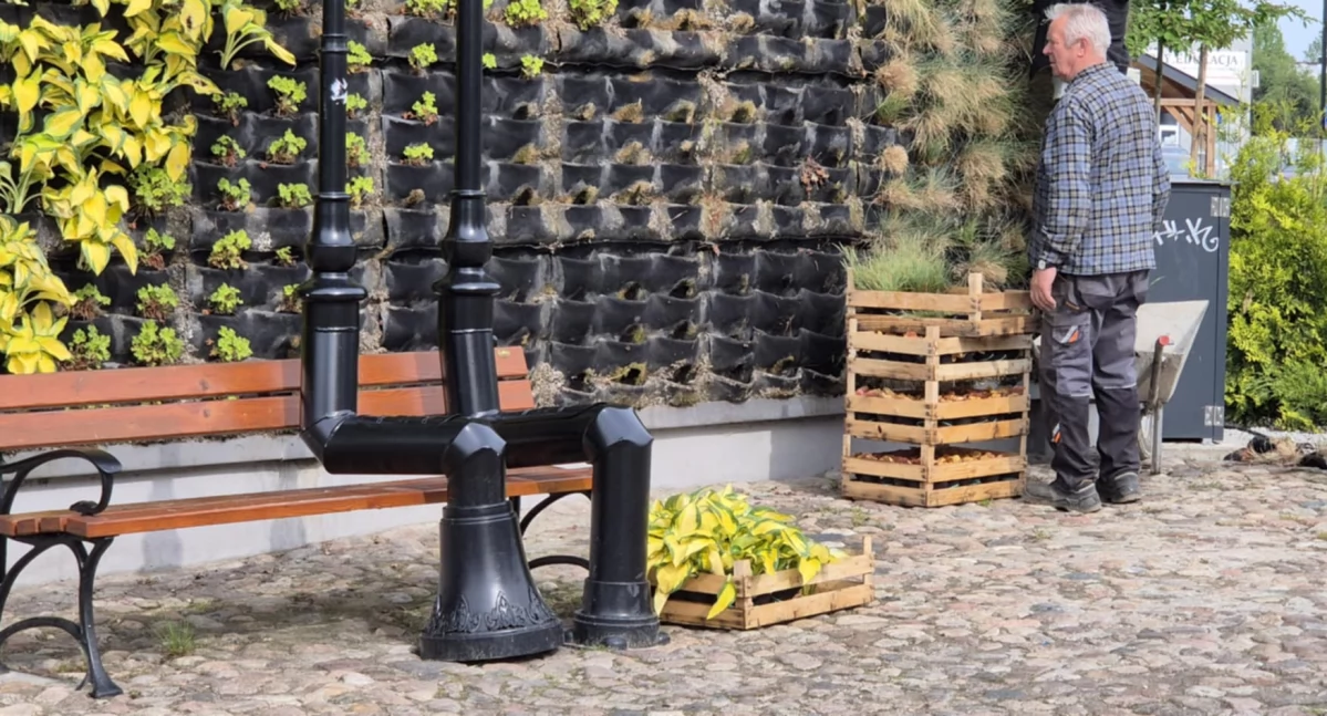 Temat zielonych ścian na Reymonta wciąż żywy. W przeciwieństwie do niektórych roślin...