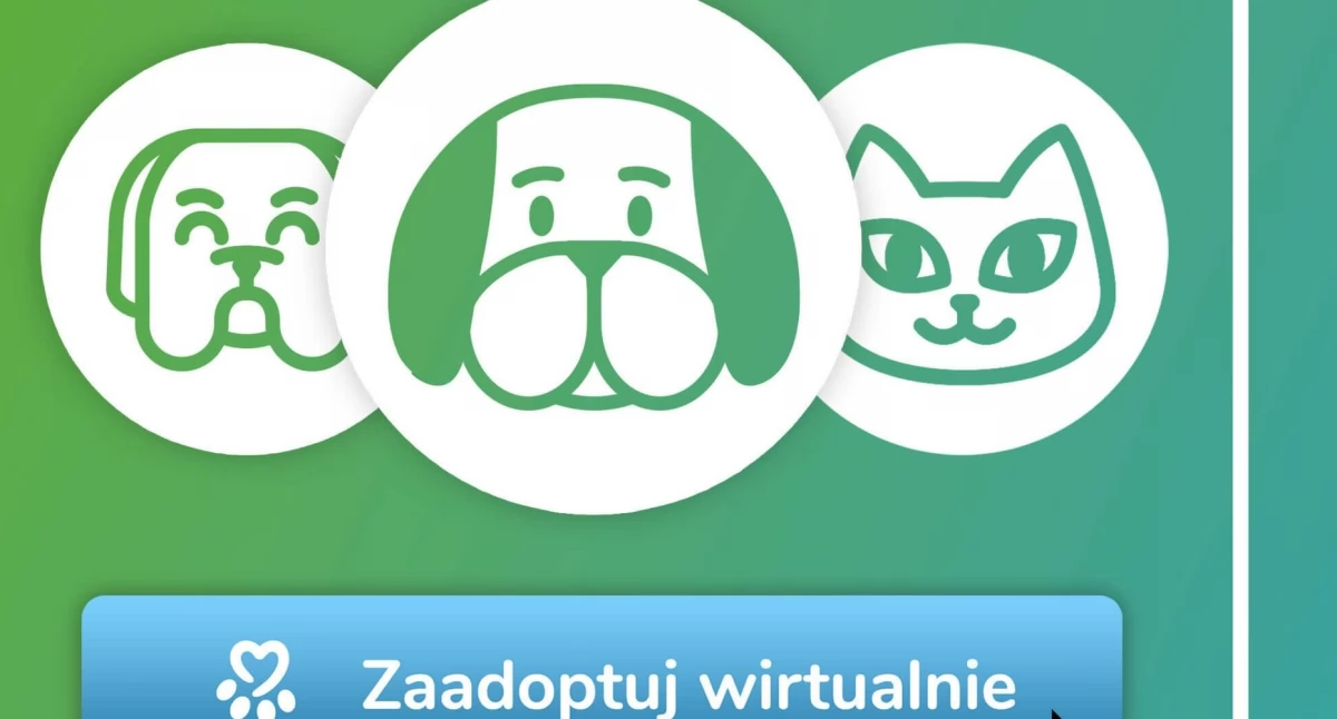 Nie możesz przygarnąć zwierzaka? Nic straconego, od teraz można adoptować wirtualnie czworonogi z Radomszczańskiego TOnZ-u