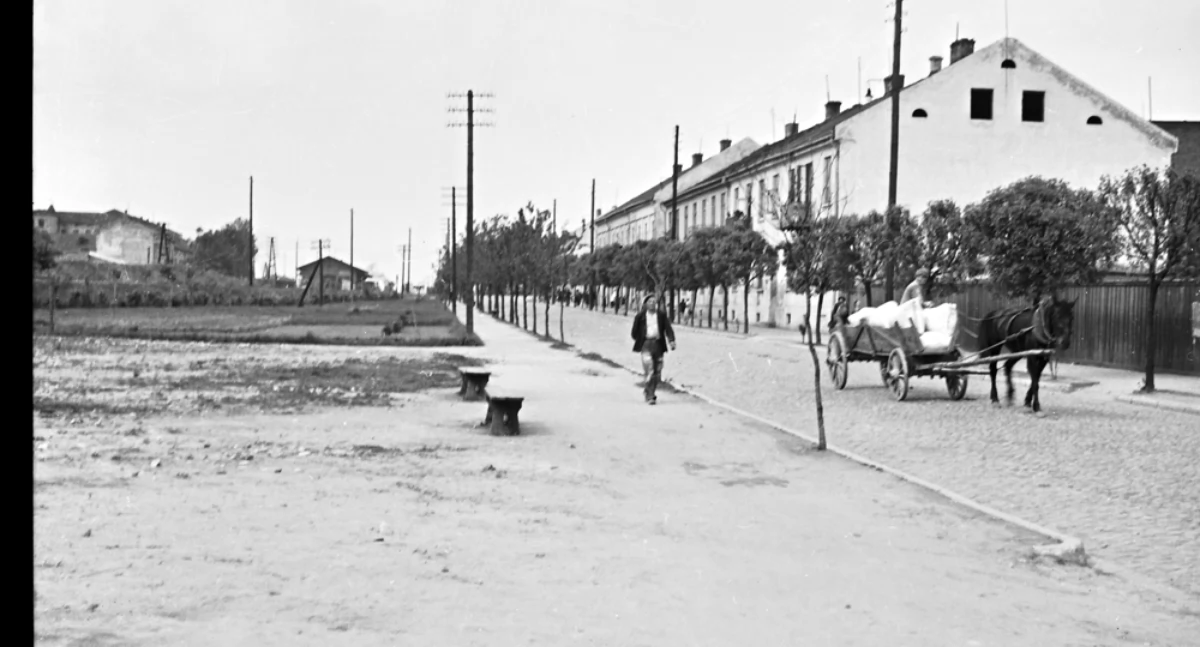 [Historia Gazetą pisana] Ujęcie kieszonkowego złodzieja