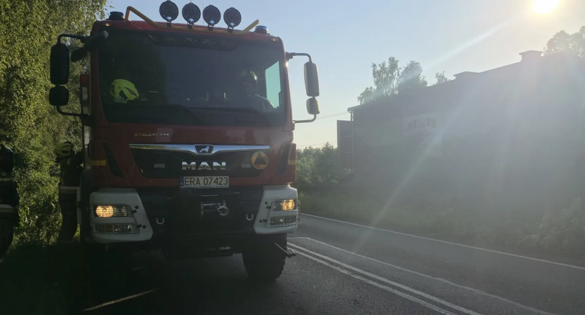 Grzmiało, wiało i padało. Strażacy wyjeżdżali kilkanaście razy. Do drzew, dachów i respiratora