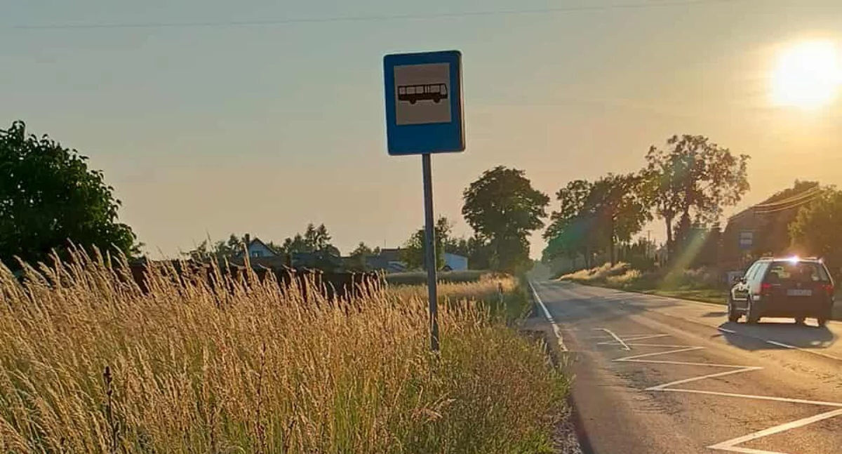 Czytelniczka: - Przez te trawy może dojść do wypadku. Kierownik rejonu w Radomsku: - Dzisiaj wykonawca mobilizuje sprzęt i rozpoczyna się koszenie