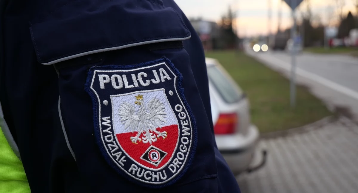 Panie policjancie, ja mrugałem, bo tam stała sarna. Prawo jazdy? Chyba nie mam. 52-latek ma za to poważne kłopoty