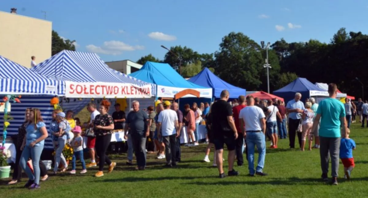 Konkurs dla KGW z okazji Gomunickiego Święta Miodu. Mogą się zgłaszać organizacje z całego powiatu radomszczańskiego. Wydarzenie obędzie się 2 sierpnia