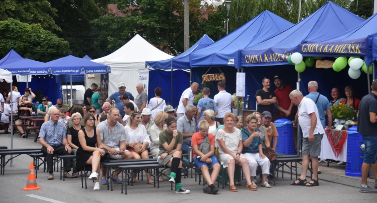 Kamieńsk zaprasza na II Święto Ogórka – dwa dni atrakcji i koncertów już w najbliższy weekend