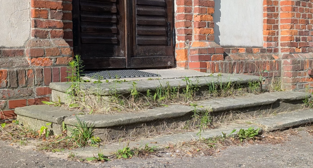 Czytelniczka: - Jak to wygląda? Strasznie, wstyd kogoś przyprowadzić... Zarządca cmentarza: - Sprzątamy na bieżąco, ale sprawdzimy