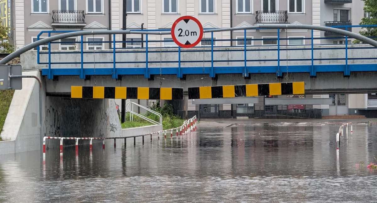 Proste klimatyczne pytania do władz: ociepla się klimat czy nie? Trzeba z ociepleniem walczyć?