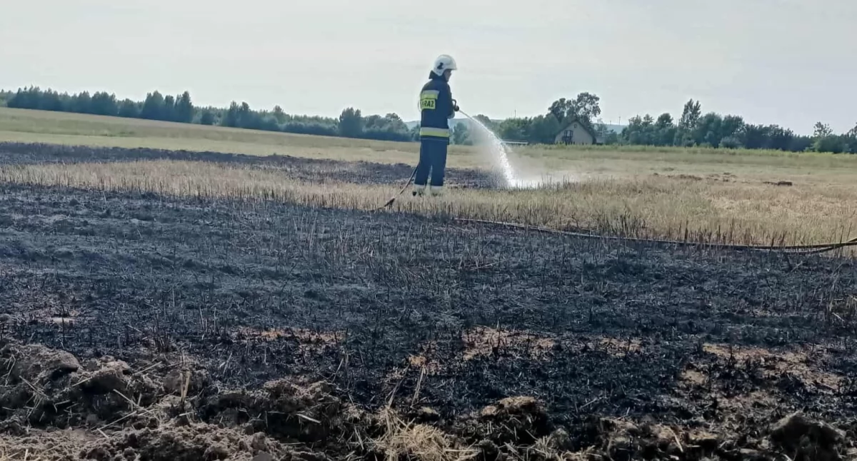 Pożar w Gorzędowie. Na miejscu działały dwie jednostki OSP Gorzędów i OSP Kamieńsk