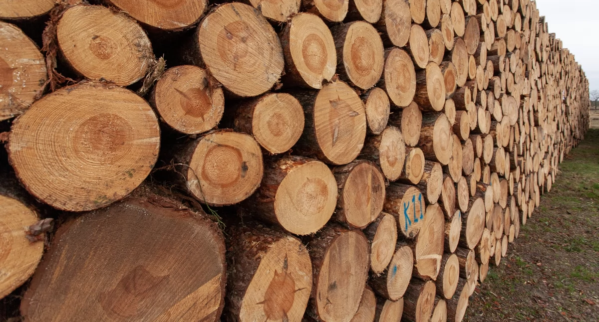 Pożar w tartaku w Brudzicach. Gasiło go 42 strażaków. Uratowali mienie o wartości 2 mln zł