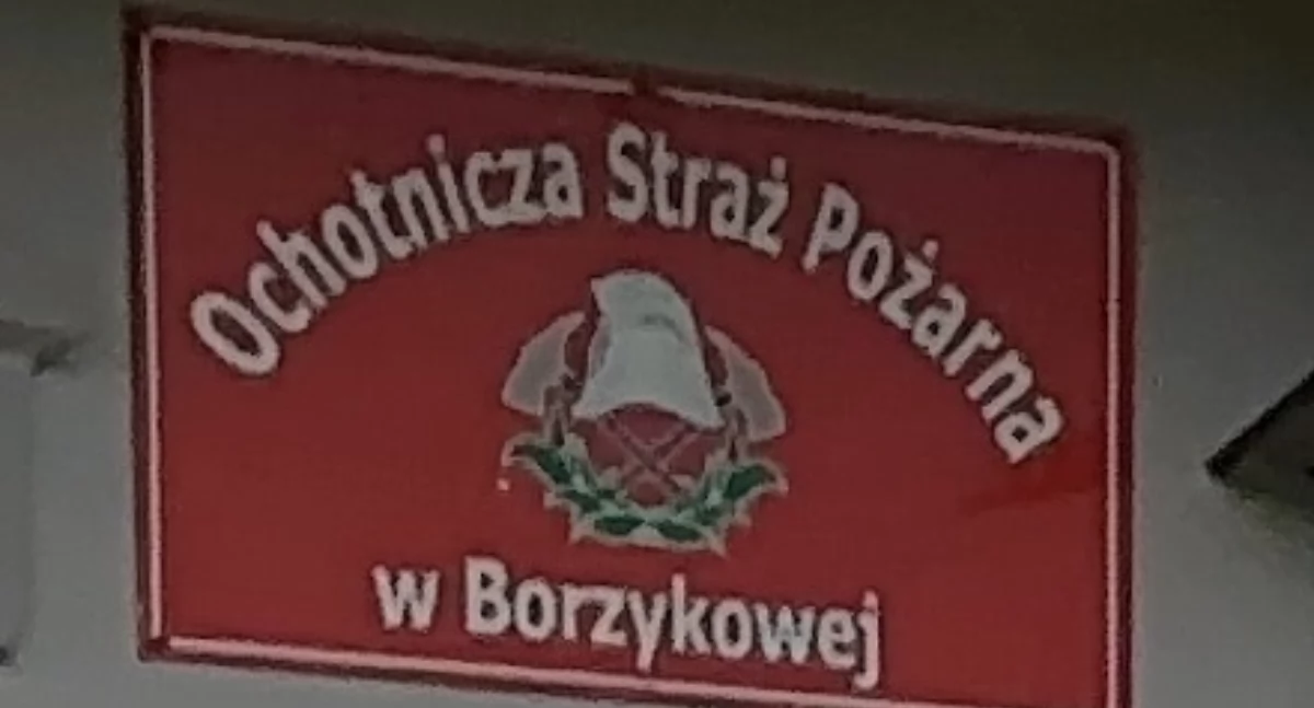 Borzykowa szykuje kolejną potańcówkę. OSP zaprasza na wspólne zakończenie wakacji pod hasłem: nie składamy parasoli