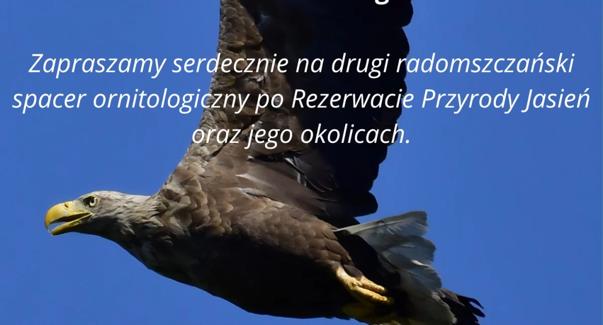 Radomszczańskie Stowarzyszenie Ornitologiczne zaprasza na drugi radomszczański spacer ornitologiczny