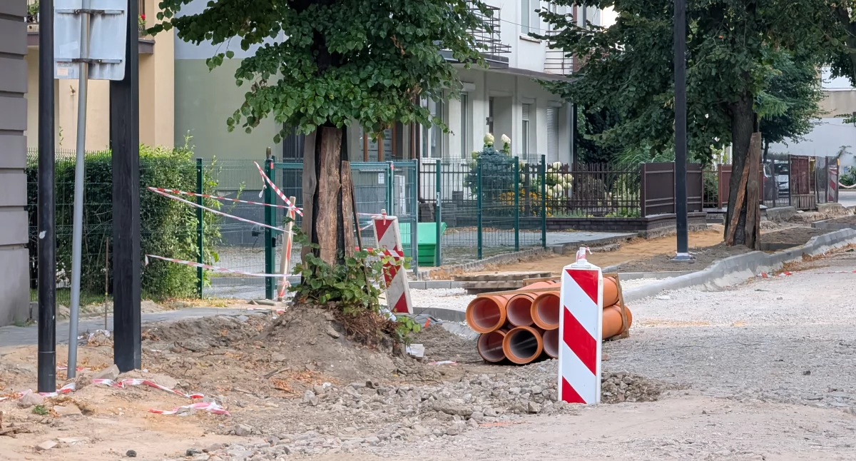 Czytelnik: - Ten pracownik dosłownie rąbał korzenie jak popadnie. Dendrolog: - To niestety standard w miejskich inwestycjach
