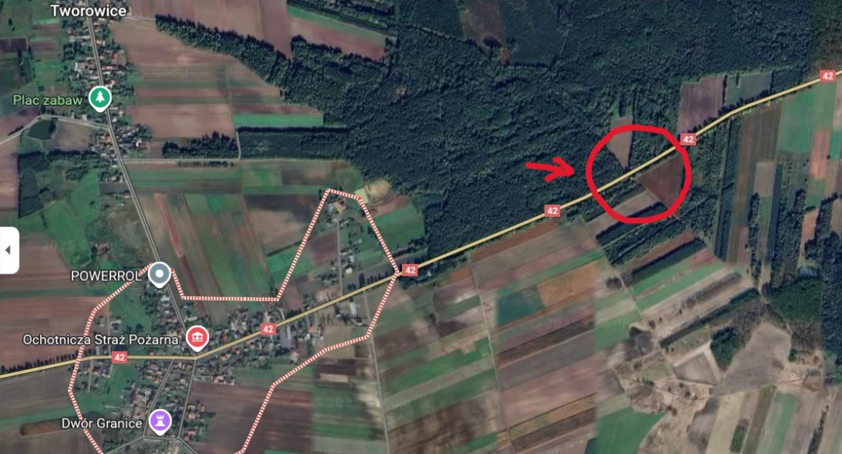 [WIDEO] Wilki między Strzelcami a Granicami. Pan Marcin: - To ciekawe, że dotarły i tutaj 