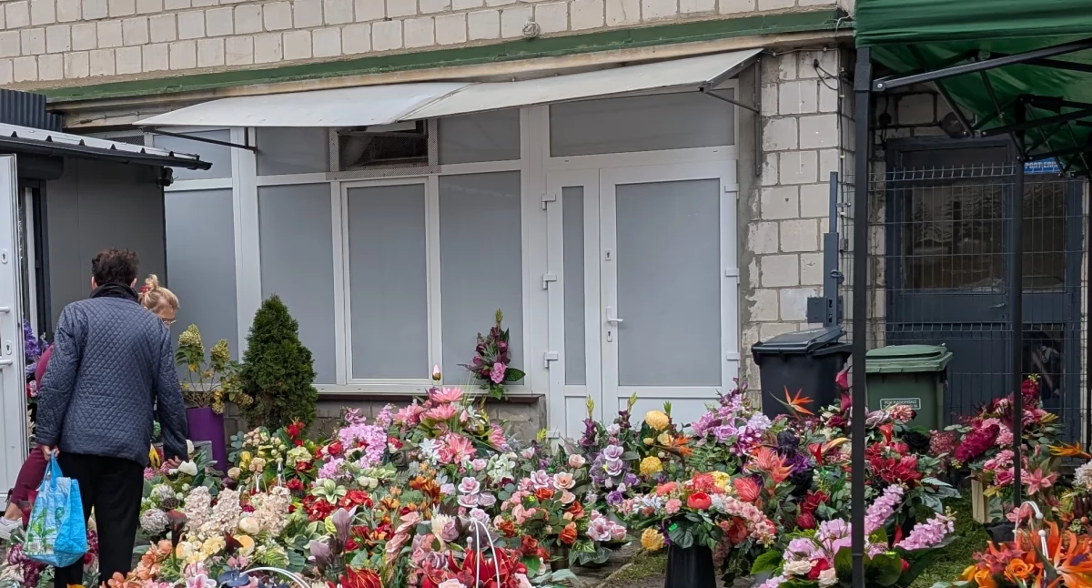 Kocia Arka traci siedzibę. PGK wypowiada umowę, bo rozbudowuje ciepłownię. Co z 75 kotami?