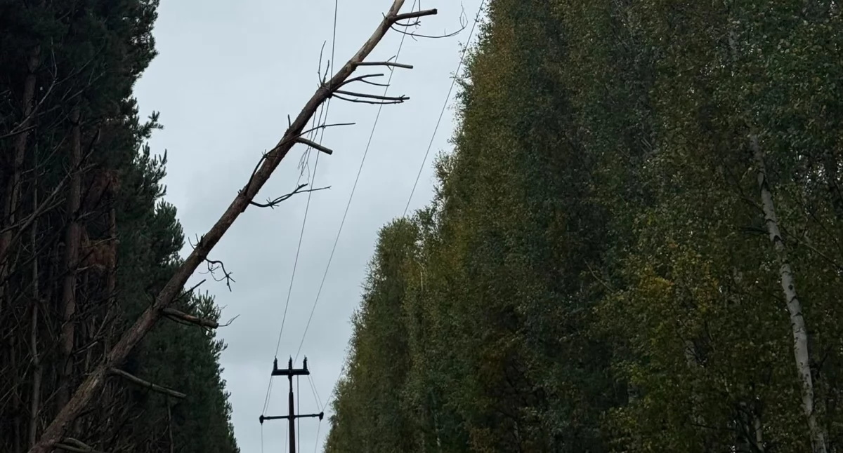 Strażacy z OSP Kodrąb usunęli powalone drzewo z linii energetycznej w Klizinie i przypominają o zasadach bezpieczeństwa
