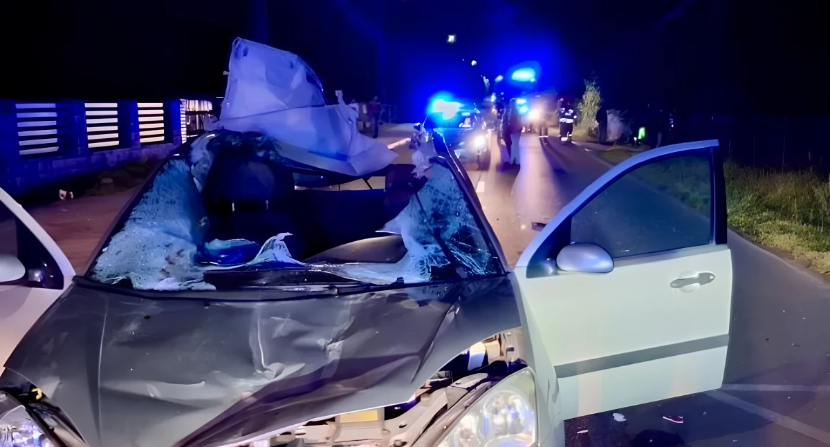 Konie przebiegły 2 kilometry. Jeden z nich wbiegł przed Forda. Kierowca uderzył w zwierzę. Jest śledztwo