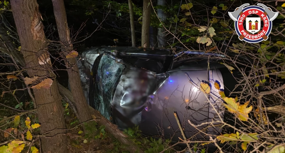 Wypadek w gminie Przedbórz. Kierowca Seata stracił panowanie, auto wjechało do rowu