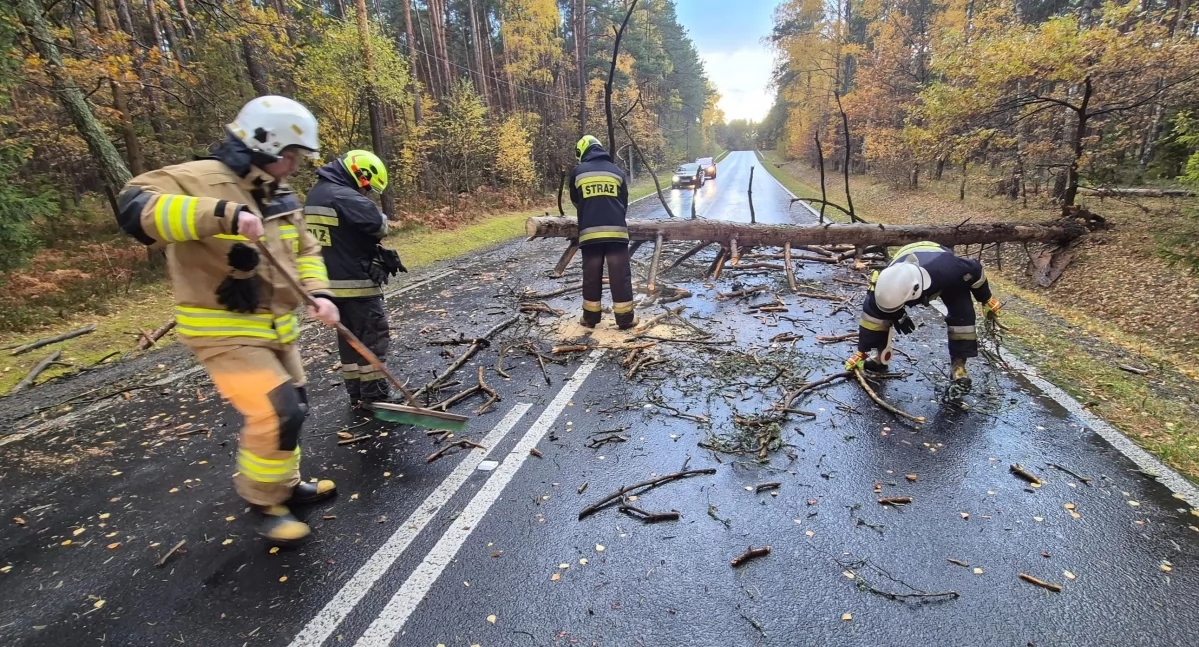 Strażacy z Żytna usuwali skutki silnego wiatru w Sekursku i na trasie do Młynka