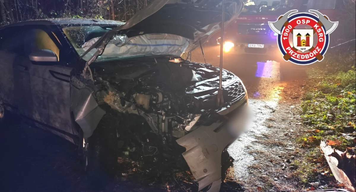 Wypadek w Łączkowicach. 39-letni kierowca stracił panowanie nad samochodem. Wjechał w drzewo