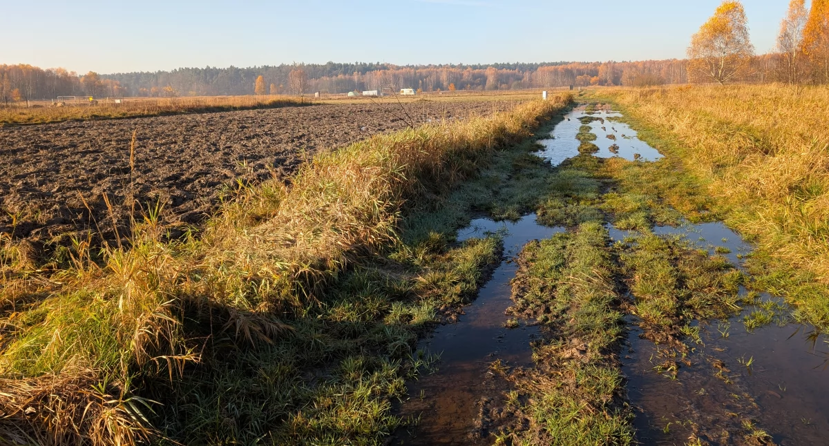 Urząd: Jak się pan wybudował w polu, to drogi nie będzie