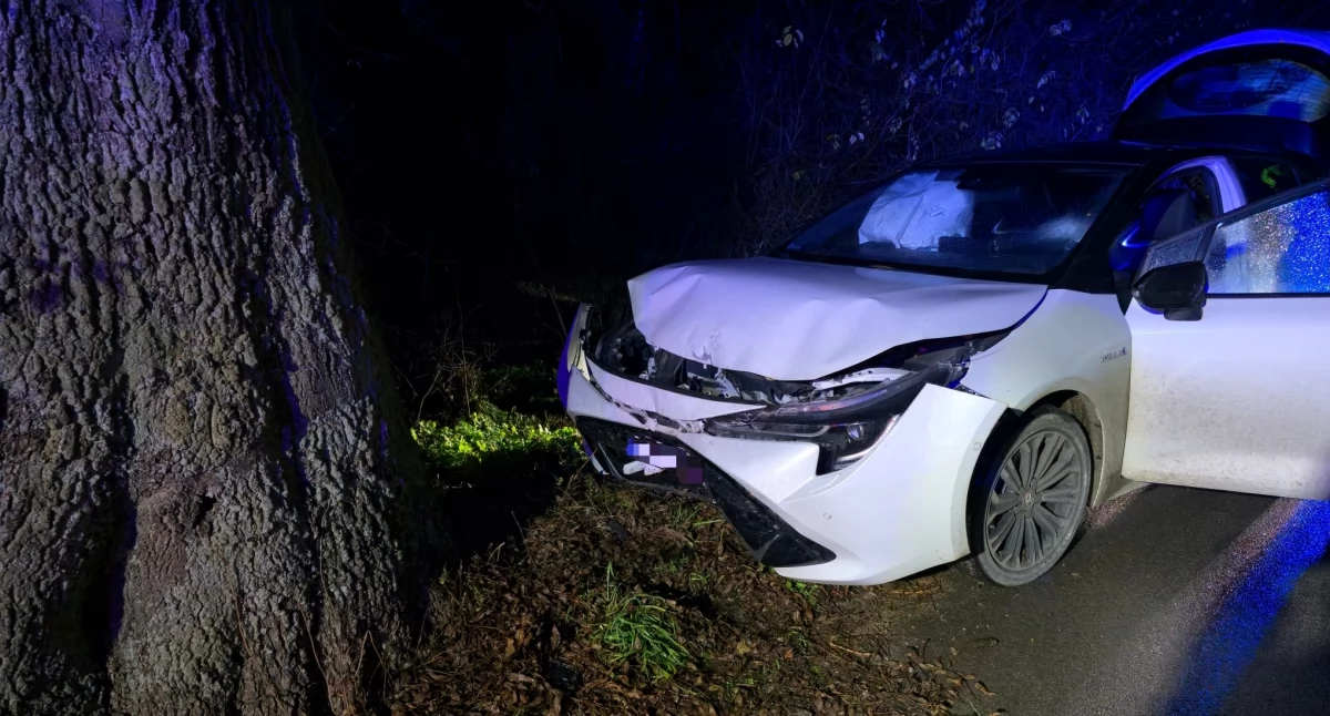 Wypadek w Pytowicach. Kierowca Toyoty omijał zwierzę. Wjechał w drzewo