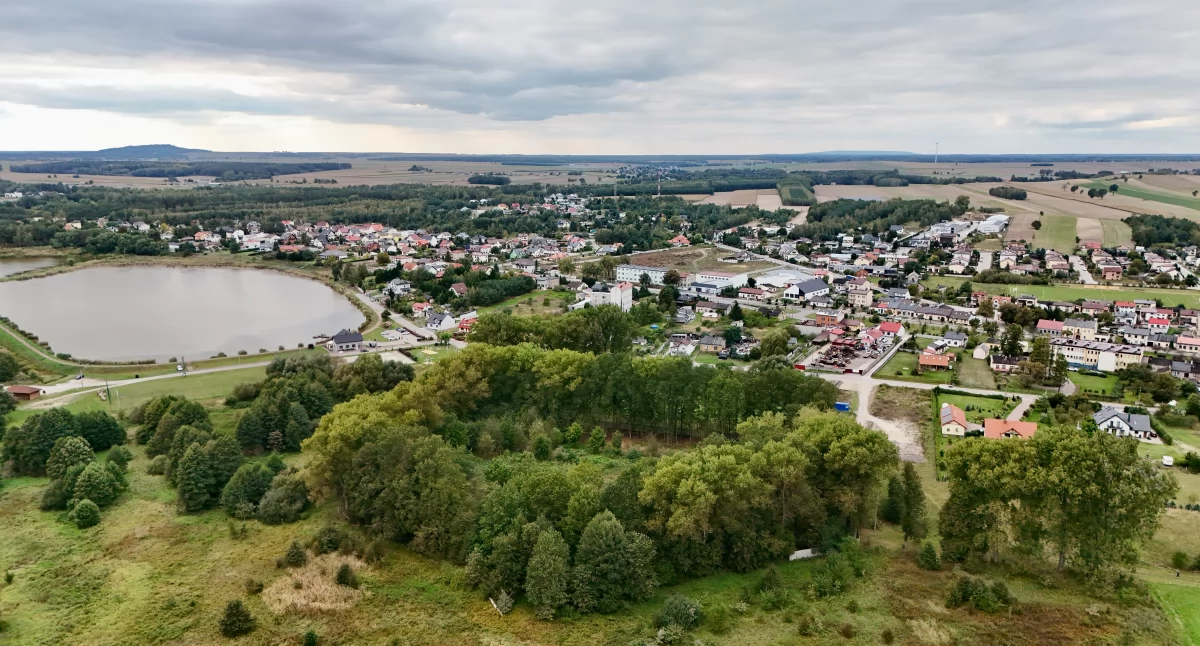 Inauguracja questu “Śladami Lokalnego Botanika“ w Przedborzu zachęci mieszkańców do poznawania przyrody regionu