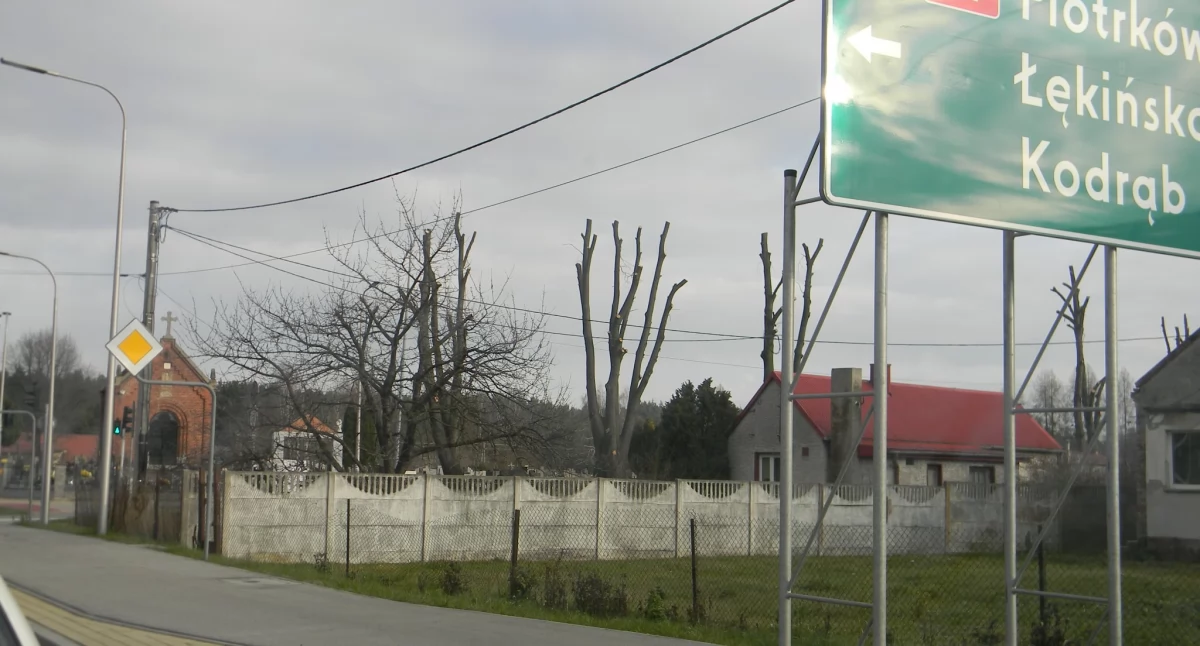 Dendrolog: - Te drzewa zostały bestialsko zniszczone. Proboszcz parafii: - Myślę, że odrosną. To nasza lokalna firma, mam do niej zaufanie